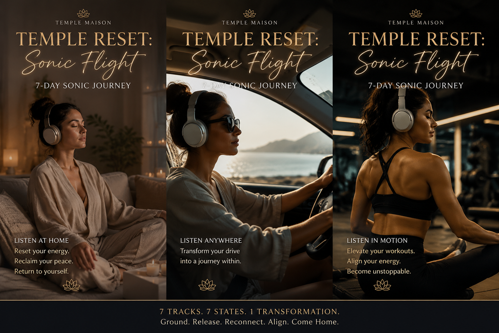 Temple Reset | Sonic Flight