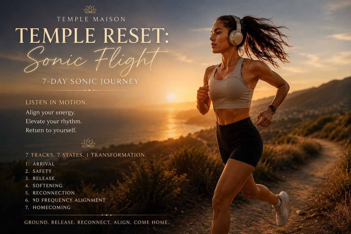 Temple Reset | Sonic Flight