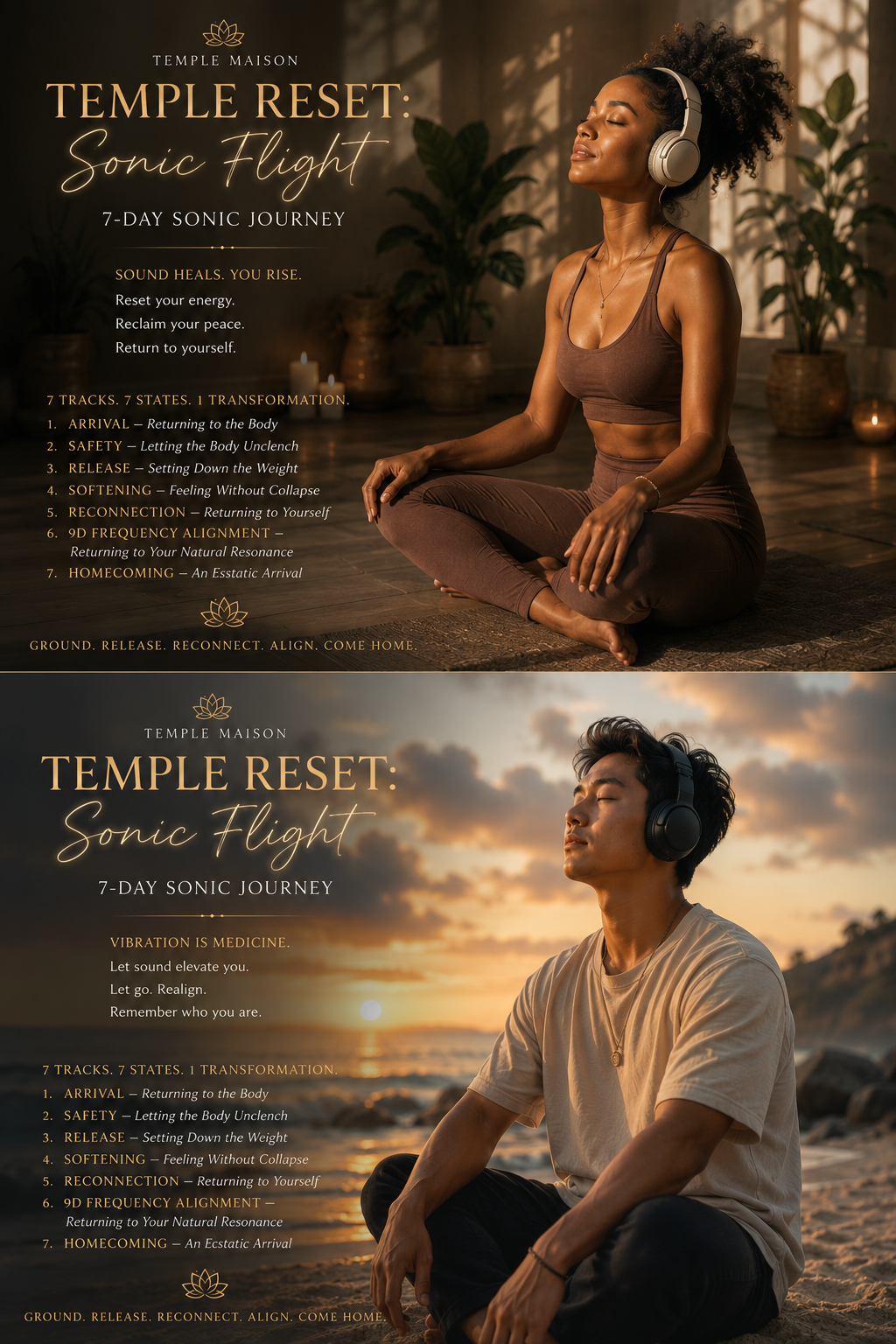 Temple Reset | Sonic Flight
