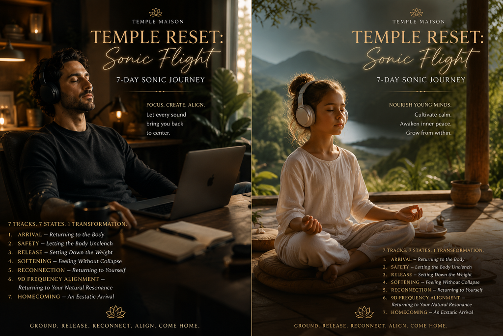 Temple Reset | Sonic Flight